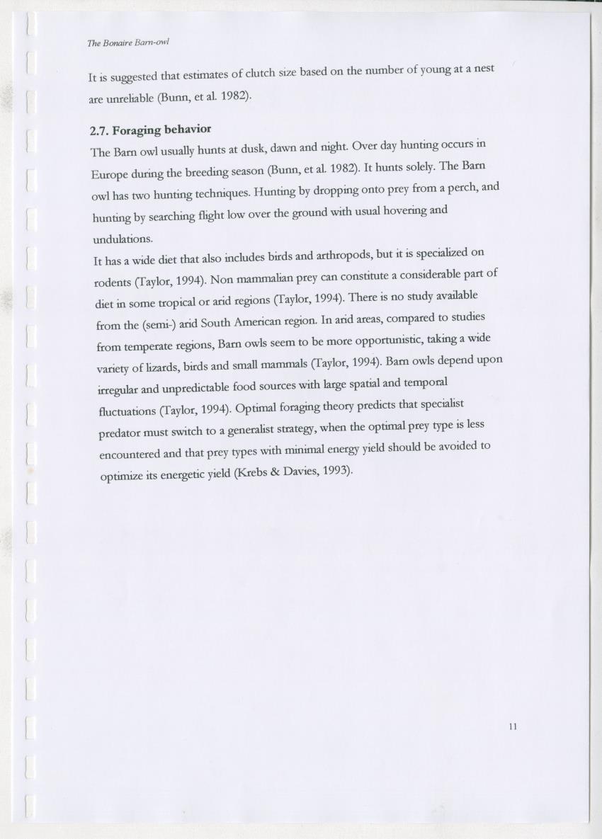 Z The Bonaire Barn-owl (Tyto alba): the first survey of roost sites and diet on Bonaire (an arid southern Caribbean island) - New Page