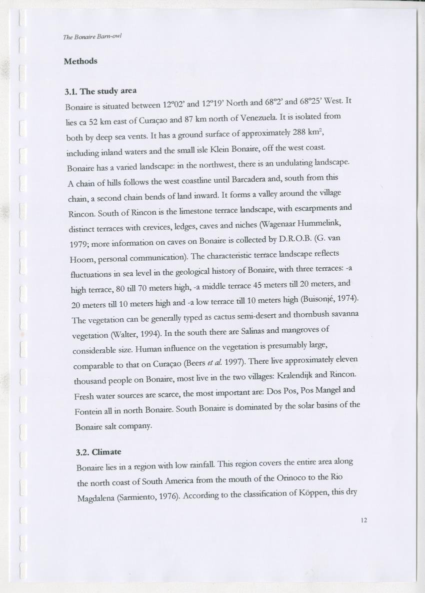 Z The Bonaire Barn-owl (Tyto alba): the first survey of roost sites and diet on Bonaire (an arid southern Caribbean island) - New Page