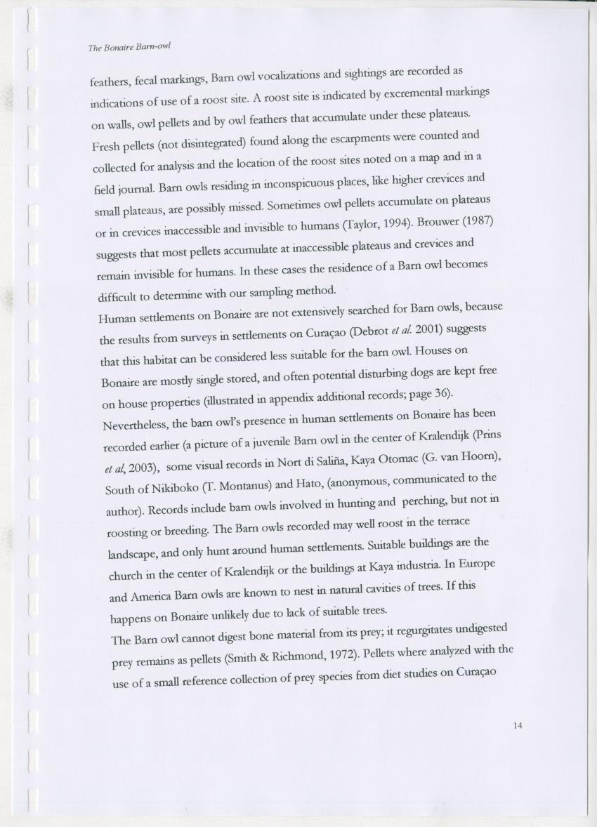 Z The Bonaire Barn-owl (Tyto alba): the first survey of roost sites and diet on Bonaire (an arid southern Caribbean island) - New Page