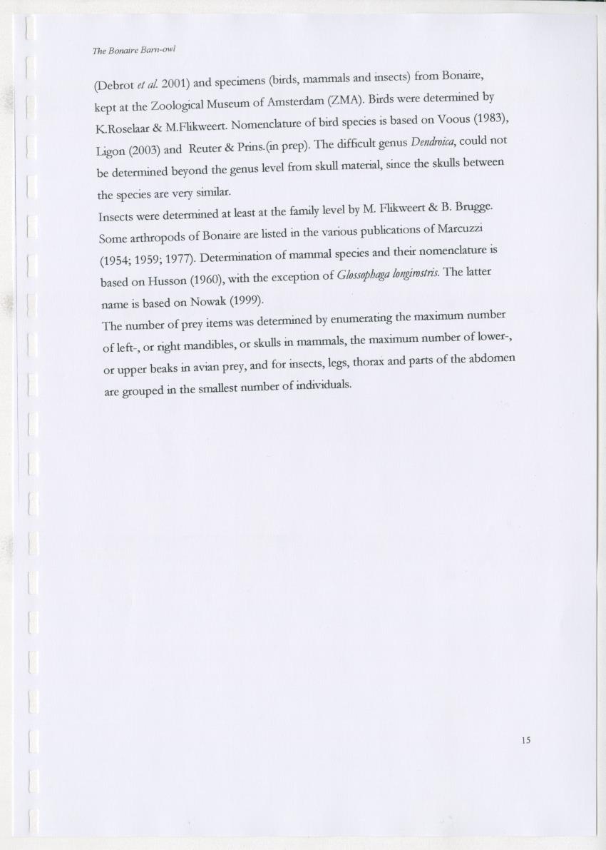 Z The Bonaire Barn-owl (Tyto alba): the first survey of roost sites and diet on Bonaire (an arid southern Caribbean island) - New Page