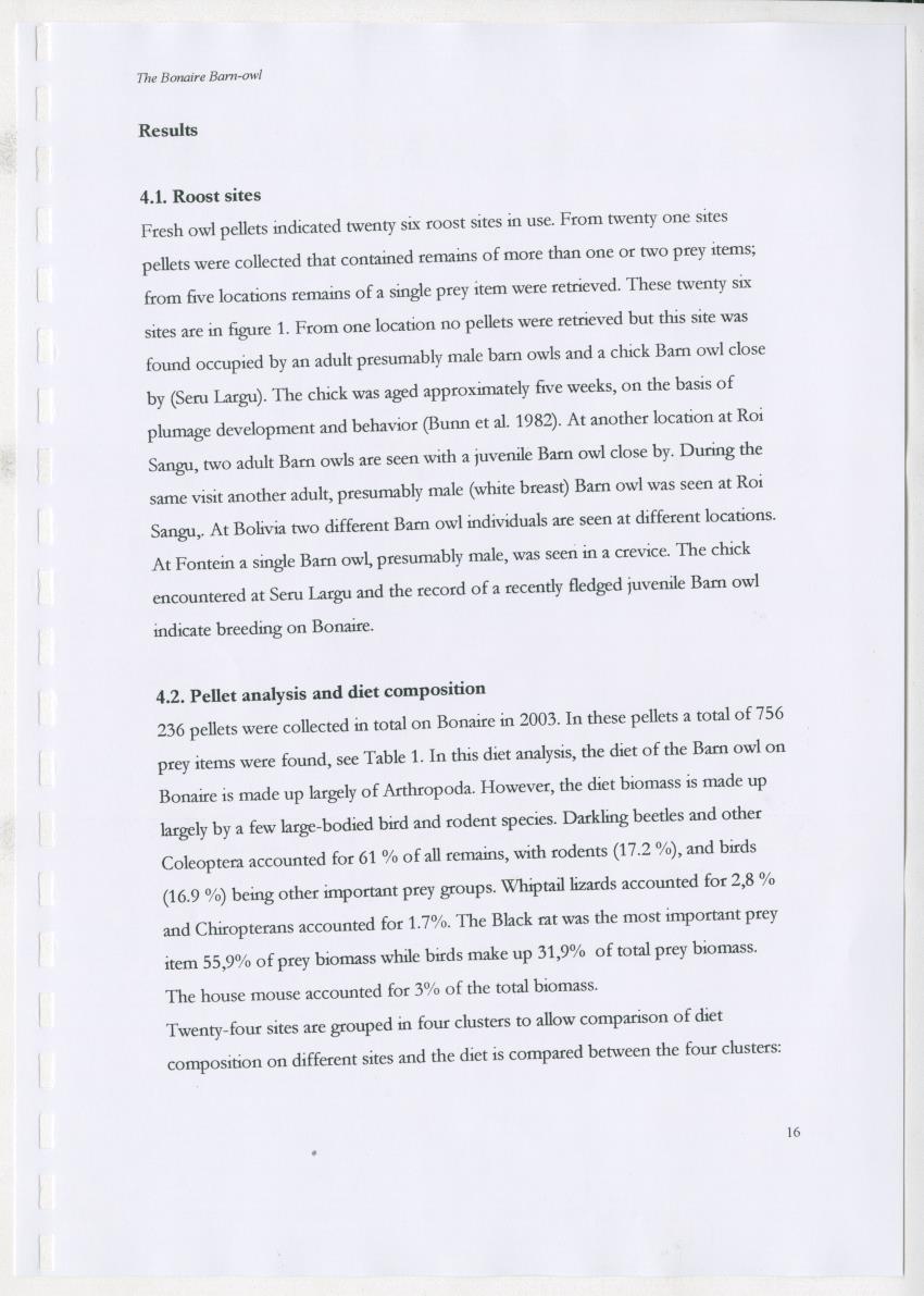 Z The Bonaire Barn-owl (Tyto alba): the first survey of roost sites and diet on Bonaire (an arid southern Caribbean island) - New Page