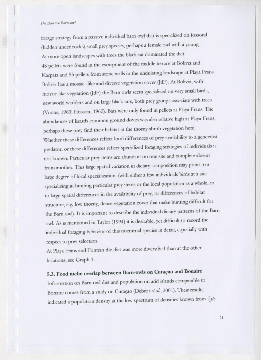 Z The Bonaire Barn-owl (Tyto alba): the first survey of roost sites and diet on Bonaire (an arid southern Caribbean island) - New Page