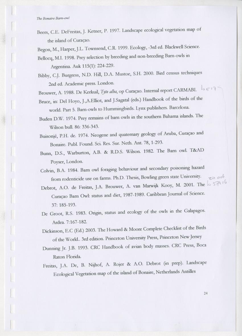 Z The Bonaire Barn-owl (Tyto alba): the first survey of roost sites and diet on Bonaire (an arid southern Caribbean island) - New Page