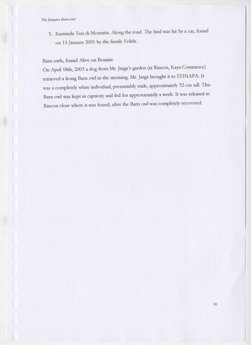 Z The Bonaire Barn-owl (Tyto alba): the first survey of roost sites and diet on Bonaire (an arid southern Caribbean island) - New Page