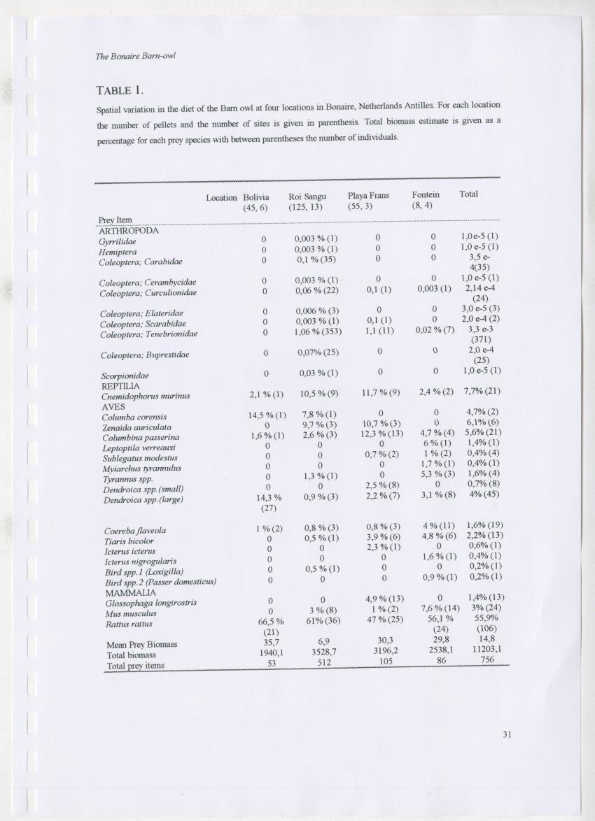 Z The Bonaire Barn-owl (Tyto alba): the first survey of roost sites and diet on Bonaire (an arid southern Caribbean island) - New Page