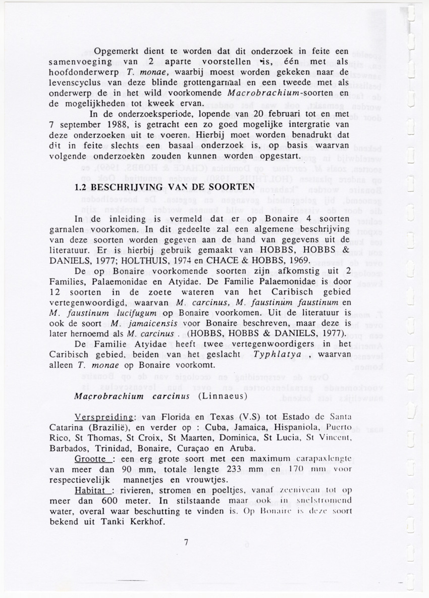 De zoetwatergarnalen van Bonaire - een survey en de mogelijkheden tot kweek - New Page