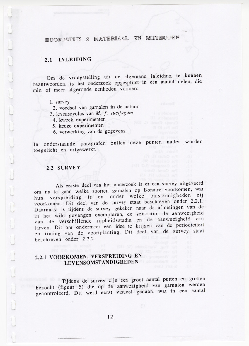De zoetwatergarnalen van Bonaire - een survey en de mogelijkheden tot kweek - New Page