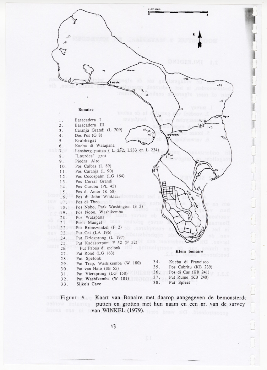 De zoetwatergarnalen van Bonaire - een survey en de mogelijkheden tot kweek - New Page