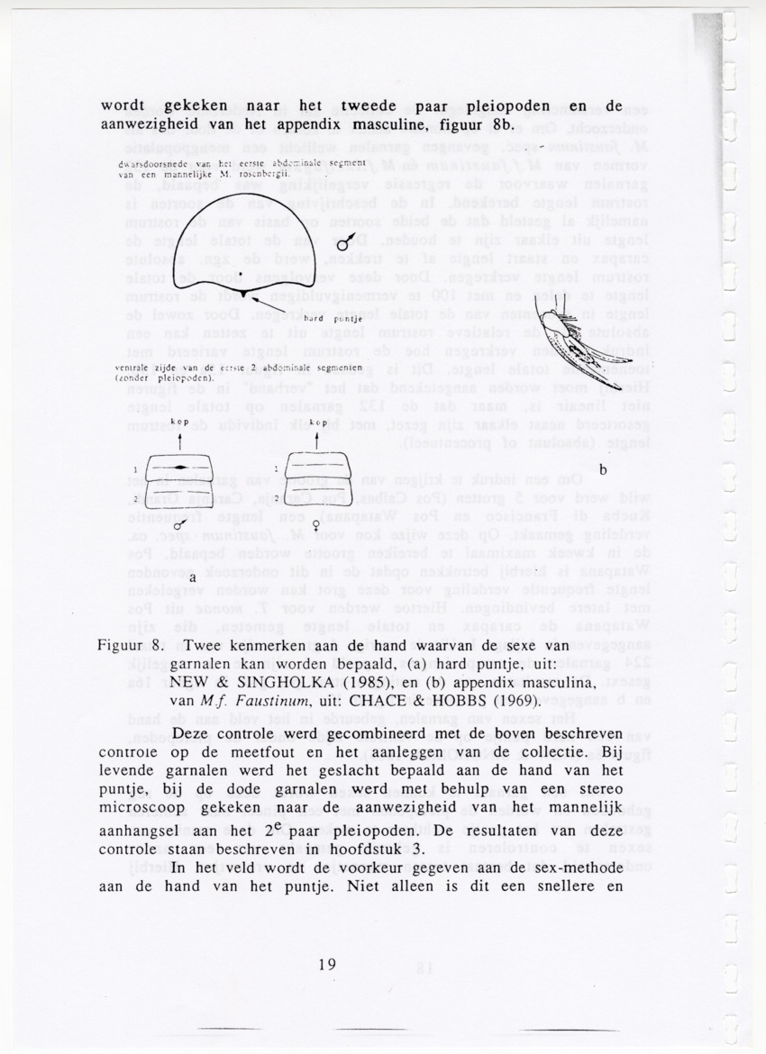De zoetwatergarnalen van Bonaire - een survey en de mogelijkheden tot kweek - New Page