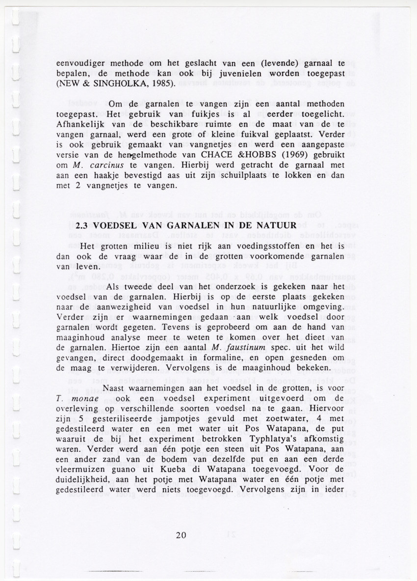 De zoetwatergarnalen van Bonaire - een survey en de mogelijkheden tot kweek - New Page