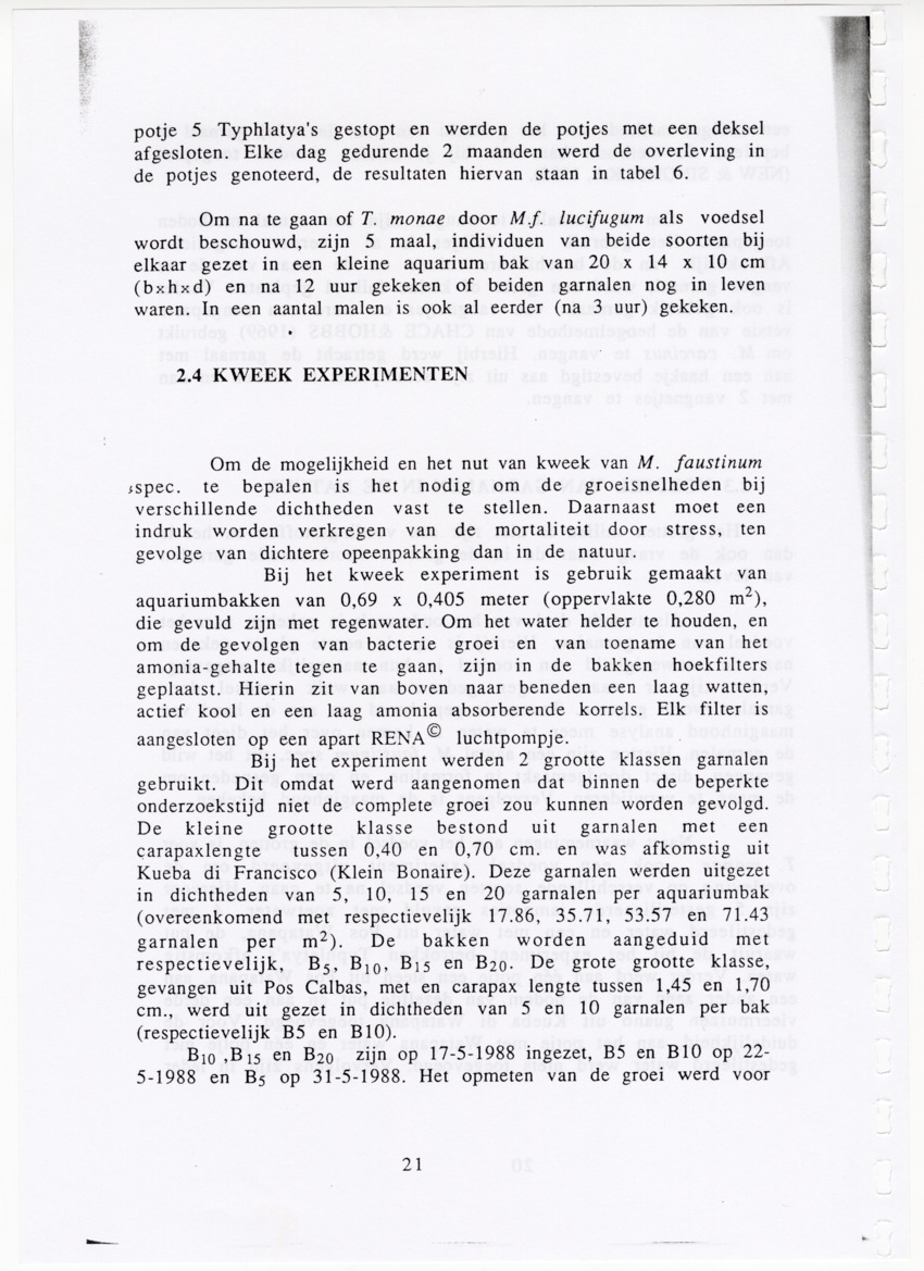 De zoetwatergarnalen van Bonaire - een survey en de mogelijkheden tot kweek - New Page