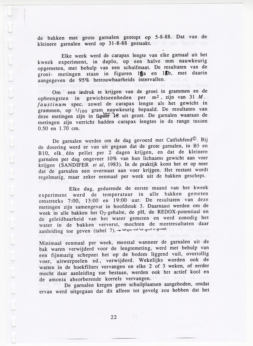 De zoetwatergarnalen van Bonaire - een survey en de mogelijkheden tot kweek - New Page