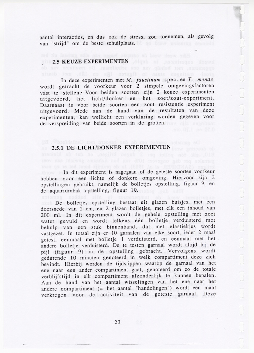 De zoetwatergarnalen van Bonaire - een survey en de mogelijkheden tot kweek - New Page