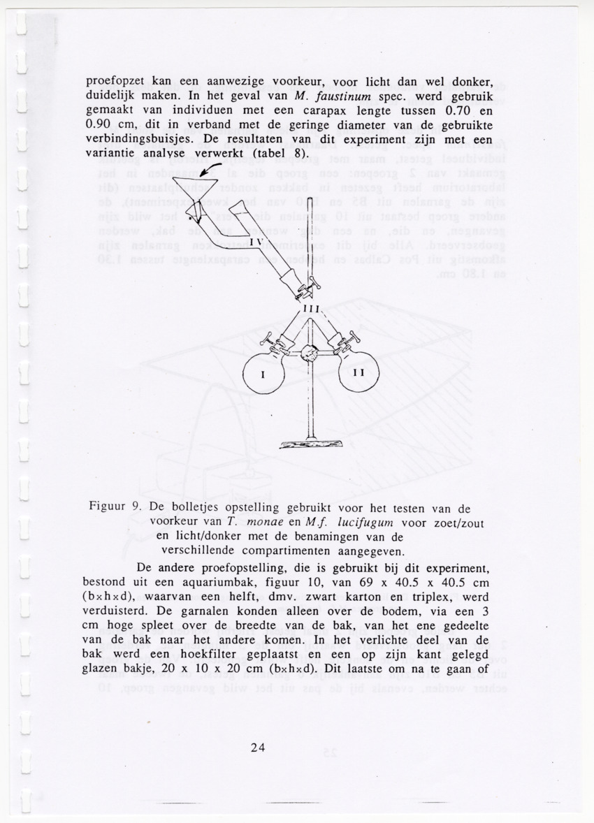 De zoetwatergarnalen van Bonaire - een survey en de mogelijkheden tot kweek - New Page