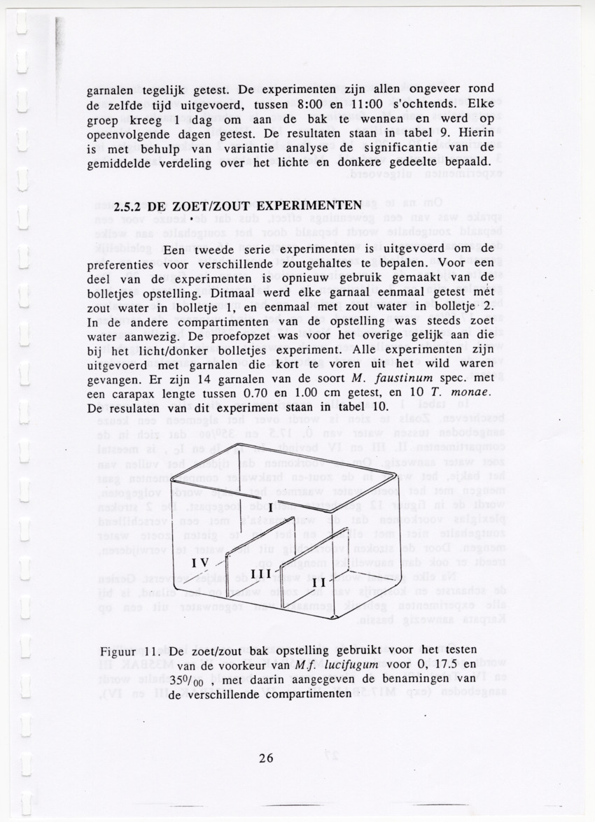 De zoetwatergarnalen van Bonaire - een survey en de mogelijkheden tot kweek - New Page