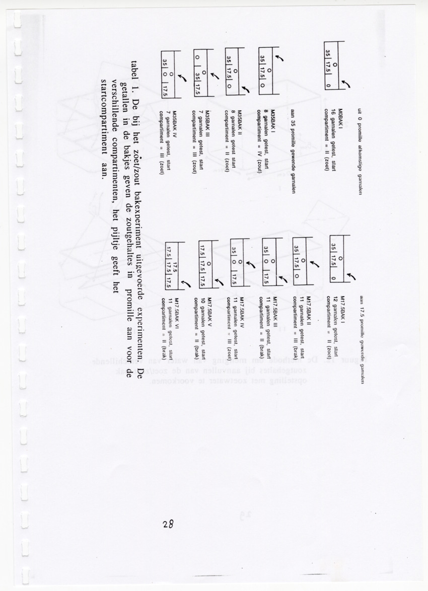 De zoetwatergarnalen van Bonaire - een survey en de mogelijkheden tot kweek - New Page