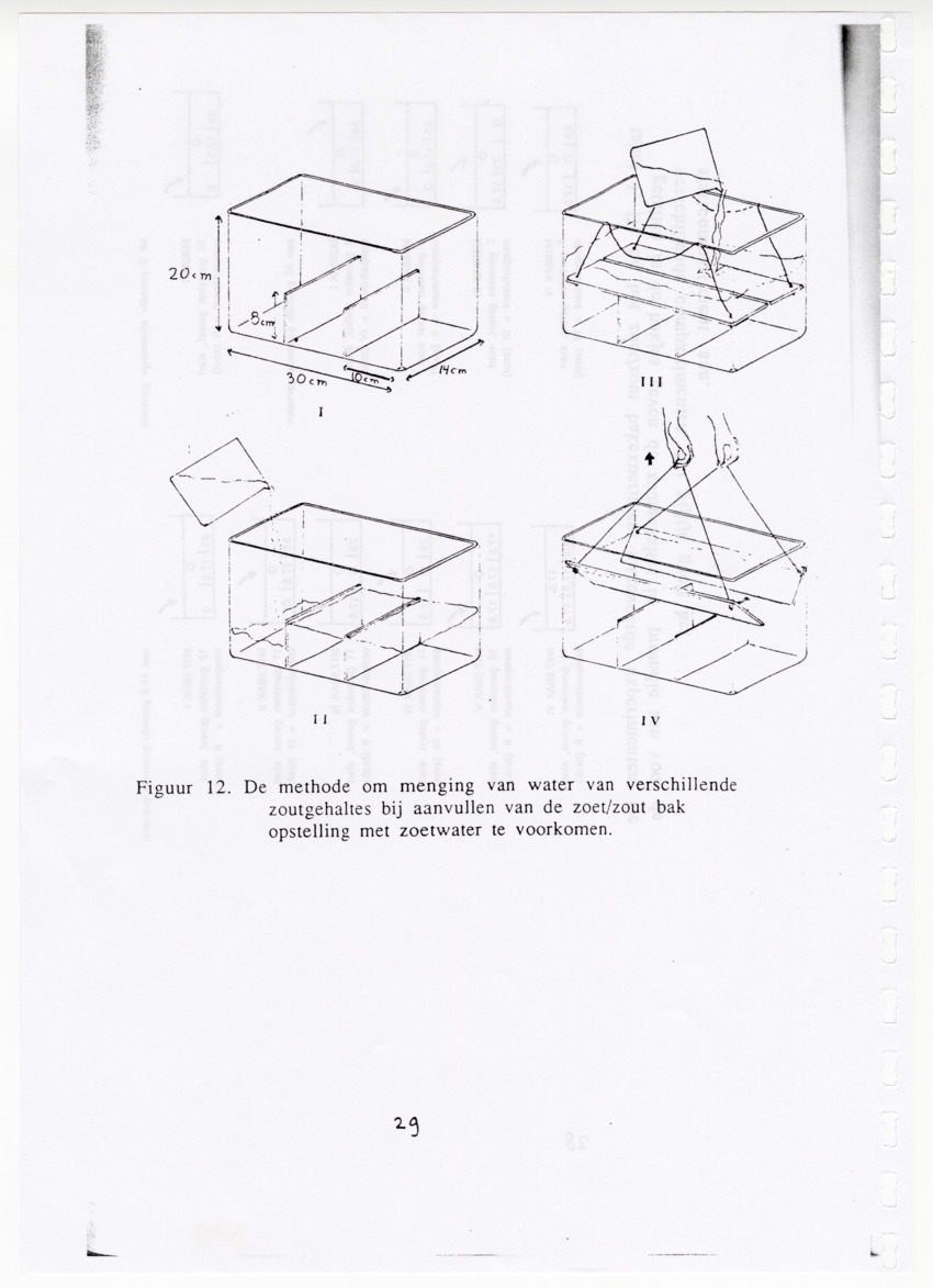 De zoetwatergarnalen van Bonaire - een survey en de mogelijkheden tot kweek - New Page