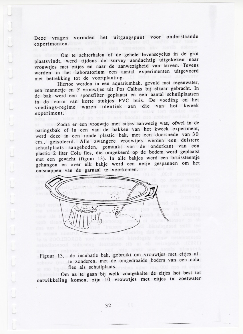 De zoetwatergarnalen van Bonaire - een survey en de mogelijkheden tot kweek - New Page