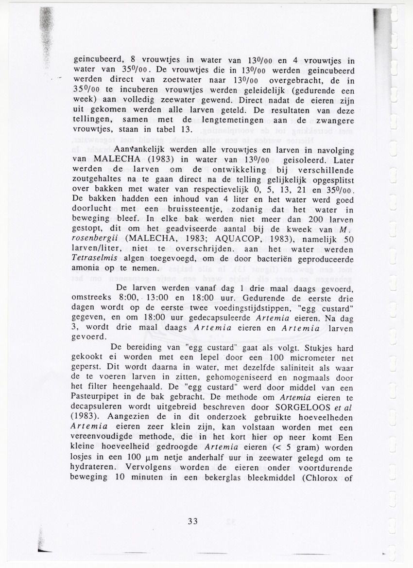 De zoetwatergarnalen van Bonaire - een survey en de mogelijkheden tot kweek - New Page