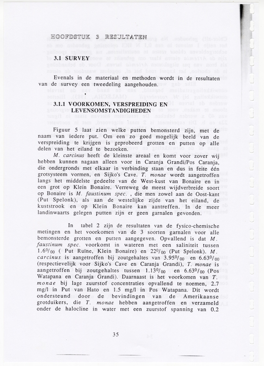 De zoetwatergarnalen van Bonaire - een survey en de mogelijkheden tot kweek - New Page