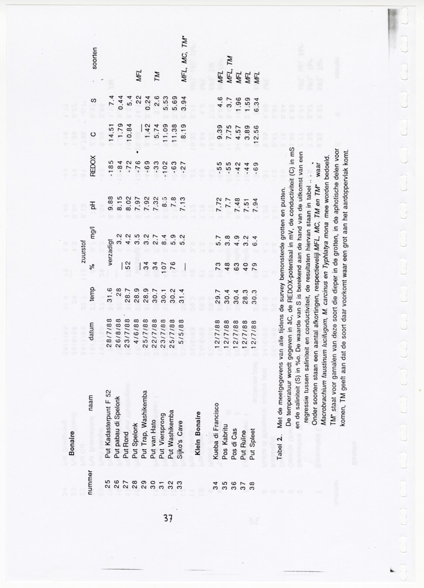 De zoetwatergarnalen van Bonaire - een survey en de mogelijkheden tot kweek - New Page
