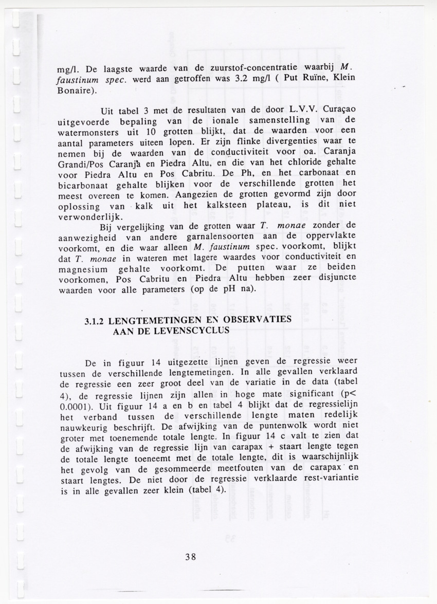 De zoetwatergarnalen van Bonaire - een survey en de mogelijkheden tot kweek - New Page