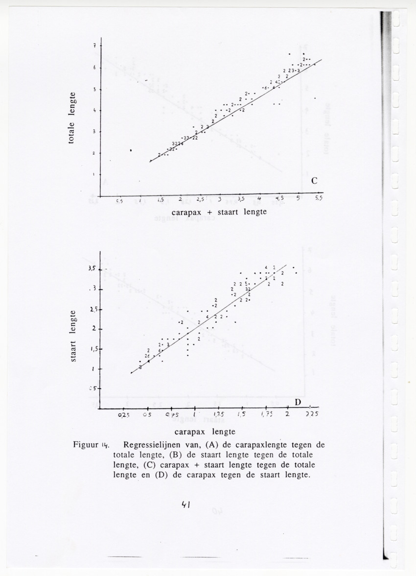 De zoetwatergarnalen van Bonaire - een survey en de mogelijkheden tot kweek - New Page