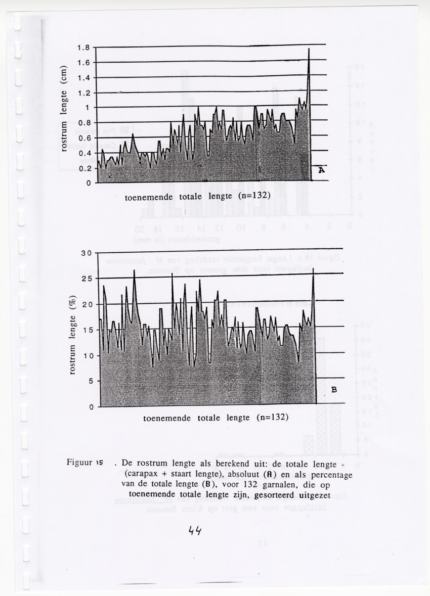 De zoetwatergarnalen van Bonaire - een survey en de mogelijkheden tot kweek - New Page