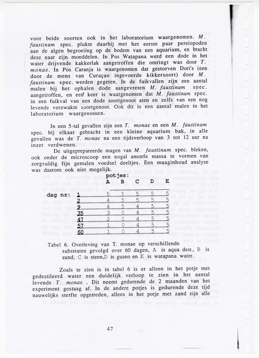 De zoetwatergarnalen van Bonaire - een survey en de mogelijkheden tot kweek - New Page