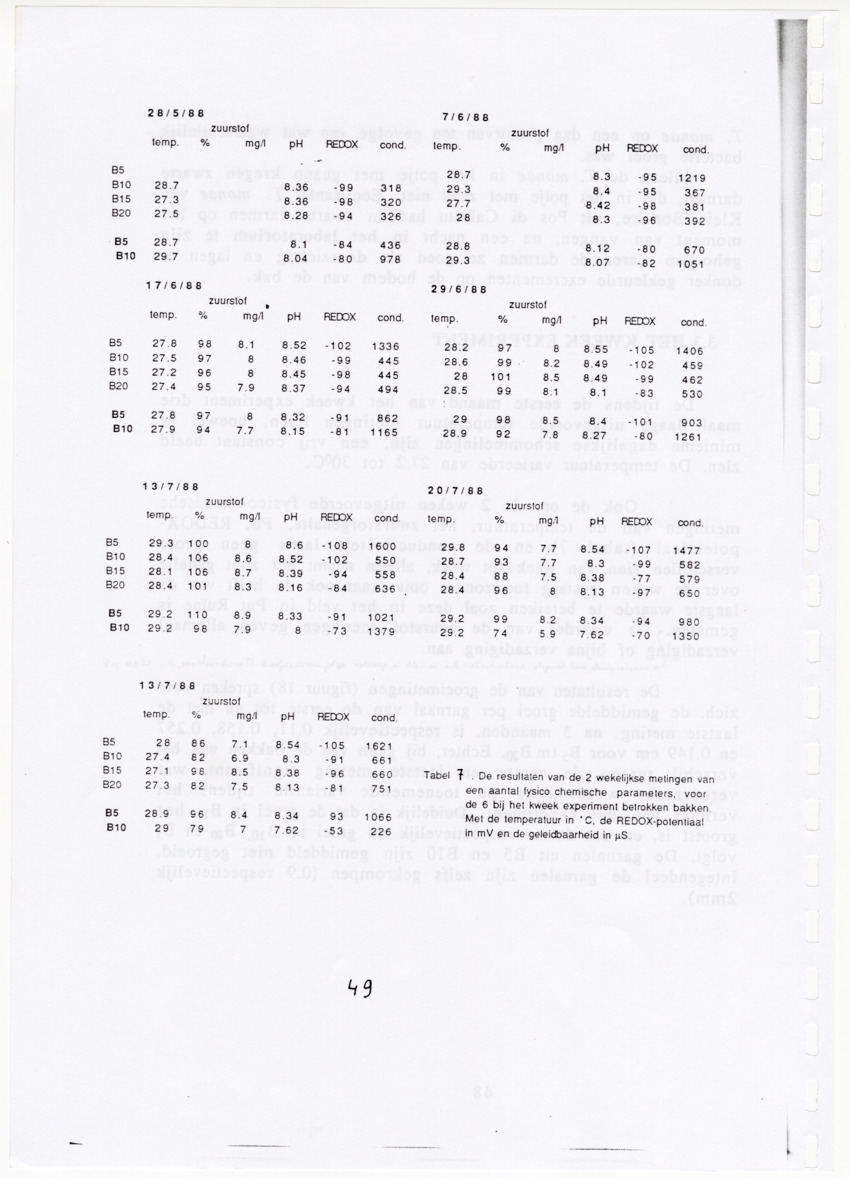 De zoetwatergarnalen van Bonaire - een survey en de mogelijkheden tot kweek - New Page