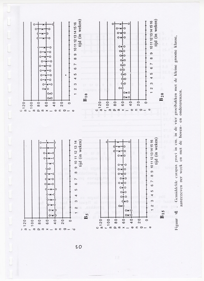 De zoetwatergarnalen van Bonaire - een survey en de mogelijkheden tot kweek - New Page