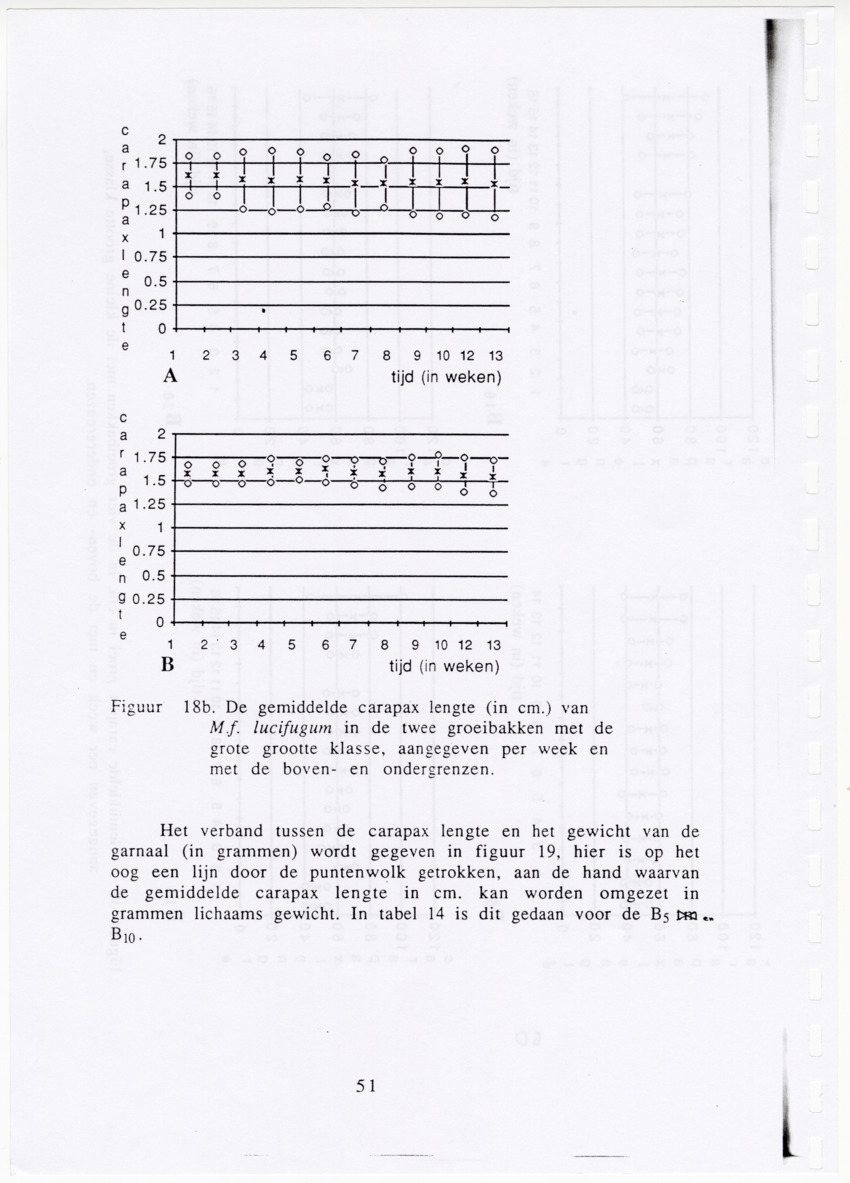 De zoetwatergarnalen van Bonaire - een survey en de mogelijkheden tot kweek - New Page