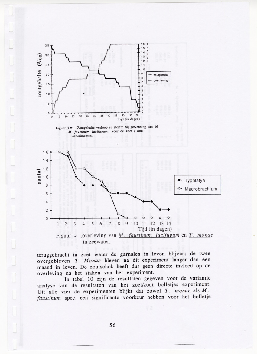 De zoetwatergarnalen van Bonaire - een survey en de mogelijkheden tot kweek - New Page
