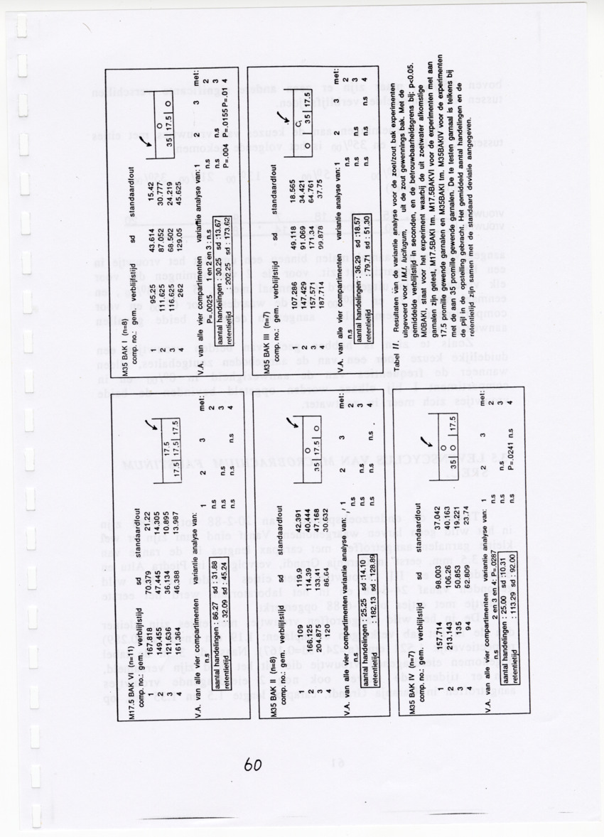 De zoetwatergarnalen van Bonaire - een survey en de mogelijkheden tot kweek - New Page