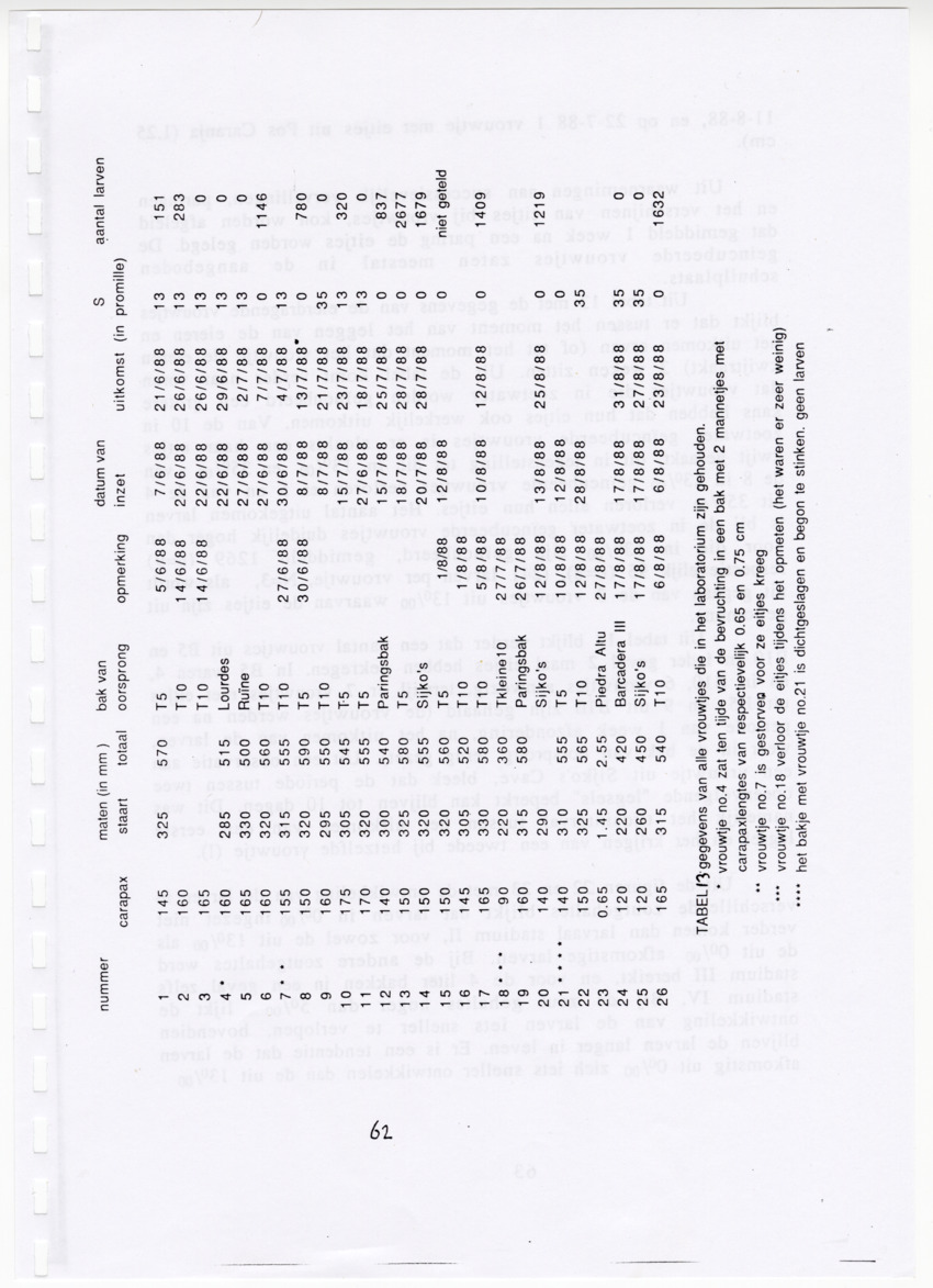 De zoetwatergarnalen van Bonaire - een survey en de mogelijkheden tot kweek - New Page