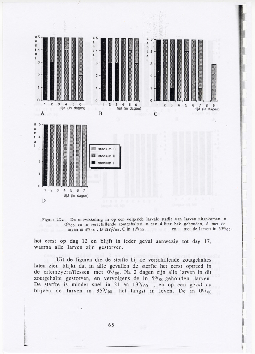 De zoetwatergarnalen van Bonaire - een survey en de mogelijkheden tot kweek - New Page