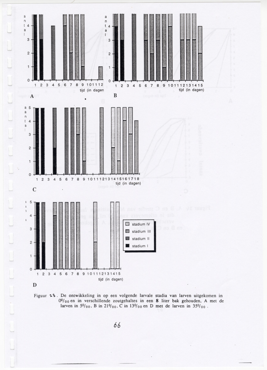 De zoetwatergarnalen van Bonaire - een survey en de mogelijkheden tot kweek - New Page