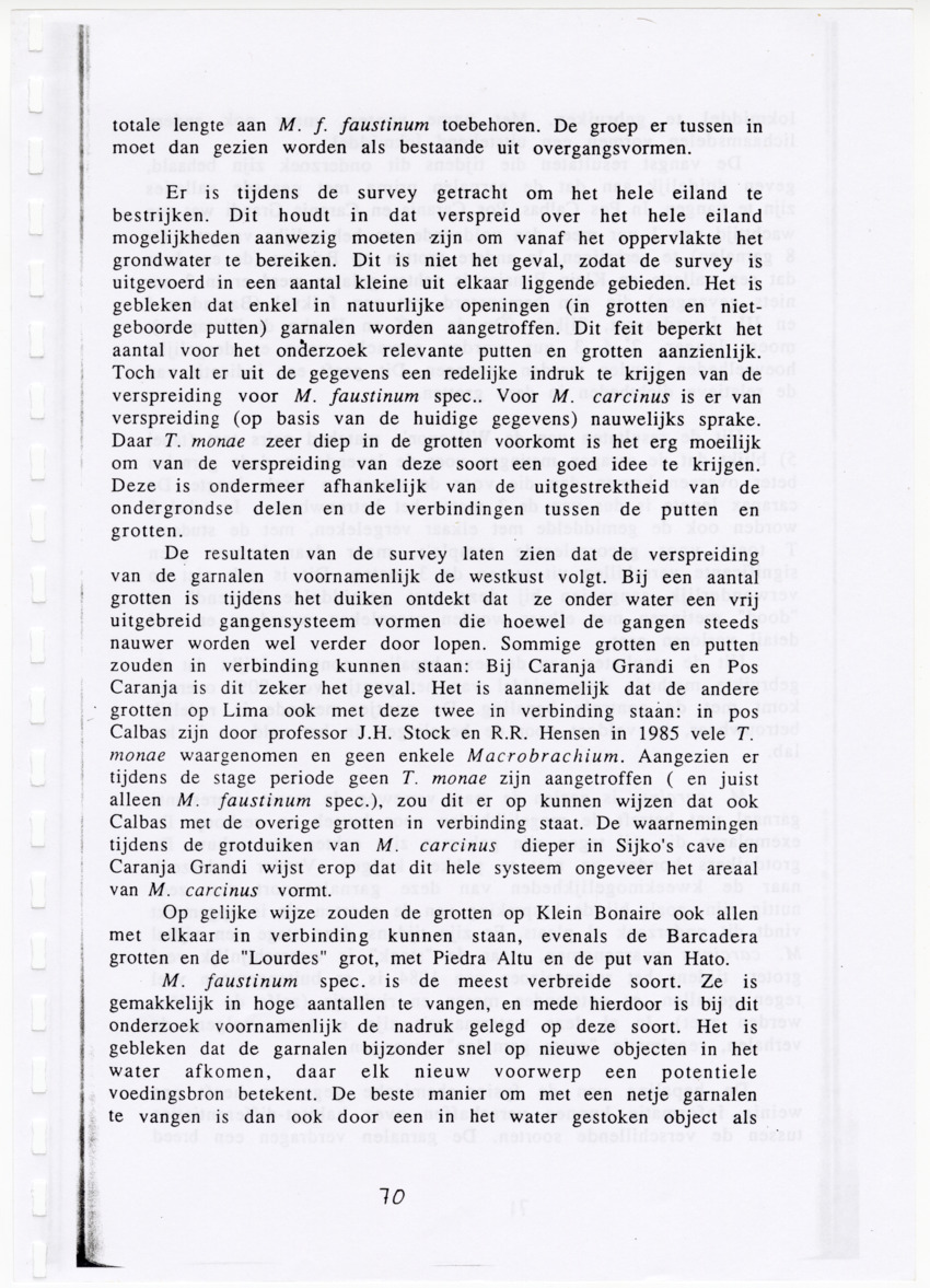 De zoetwatergarnalen van Bonaire - een survey en de mogelijkheden tot kweek - New Page