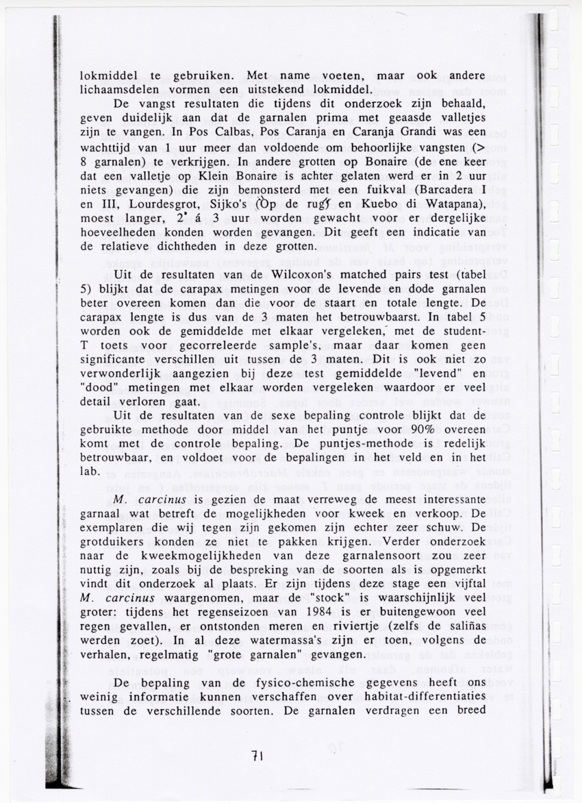De zoetwatergarnalen van Bonaire - een survey en de mogelijkheden tot kweek - New Page