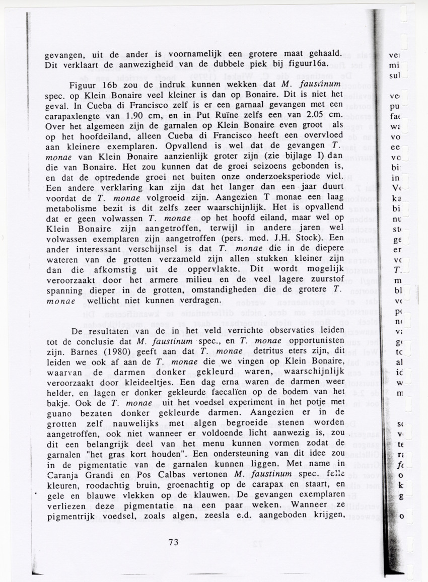De zoetwatergarnalen van Bonaire - een survey en de mogelijkheden tot kweek - New Page