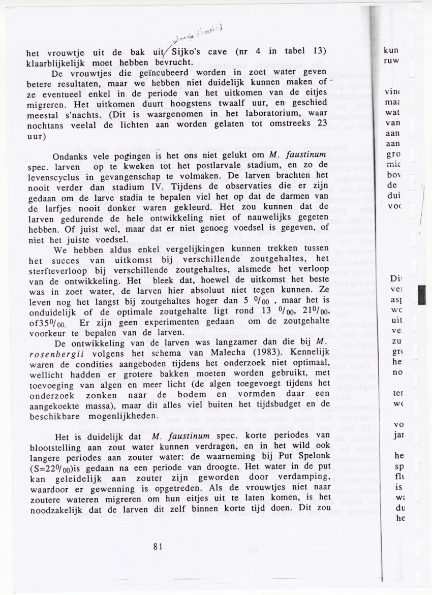 De zoetwatergarnalen van Bonaire - een survey en de mogelijkheden tot kweek - New Page