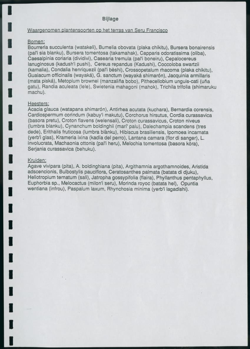 Z Korte biologische Inventory report van het kalksteenterras Seru Francisco (Brievengat) - New Page