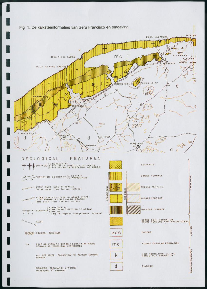 Z Korte biologische Inventory report van het kalksteenterras Seru Francisco (Brievengat) - New Page