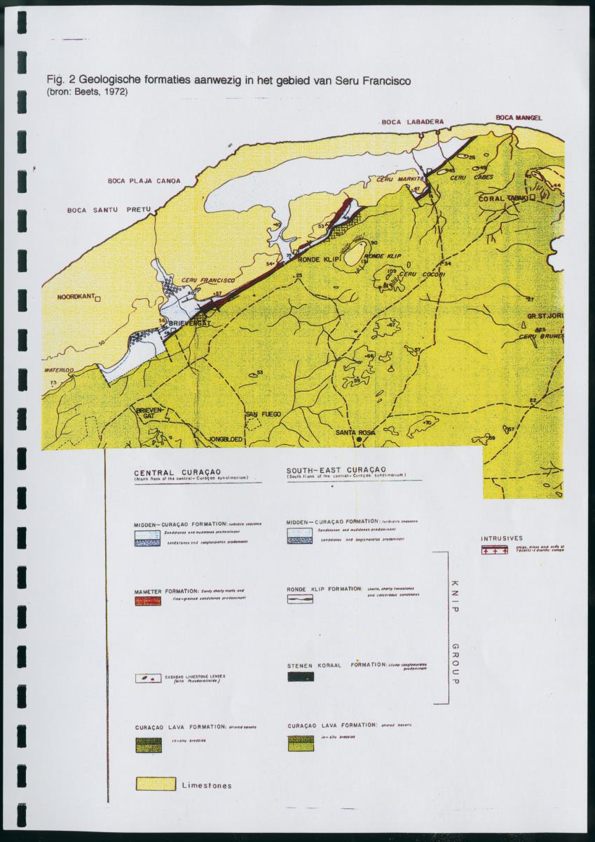 Z Korte biologische Inventory report van het kalksteenterras Seru Francisco (Brievengat) - New Page