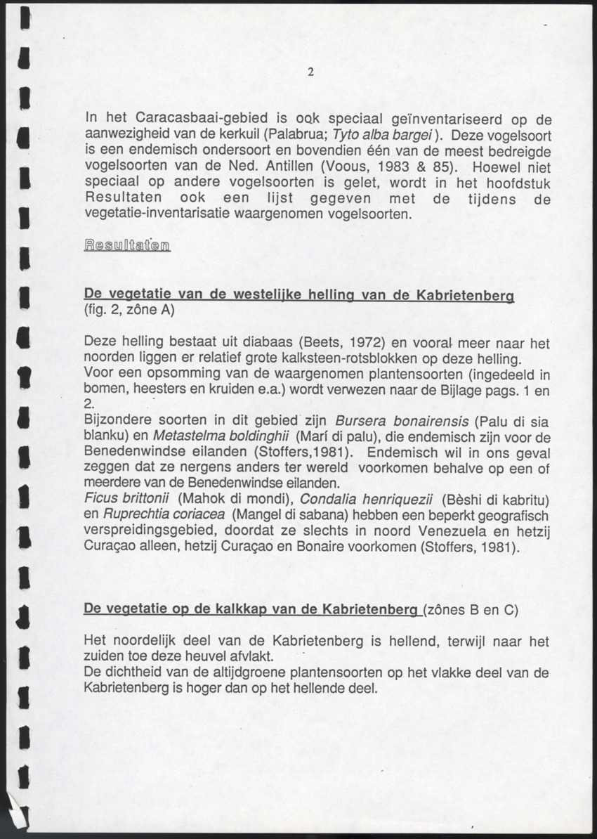 Inventarisatie-rapport van het schiereiland Caracasbaai - New Page