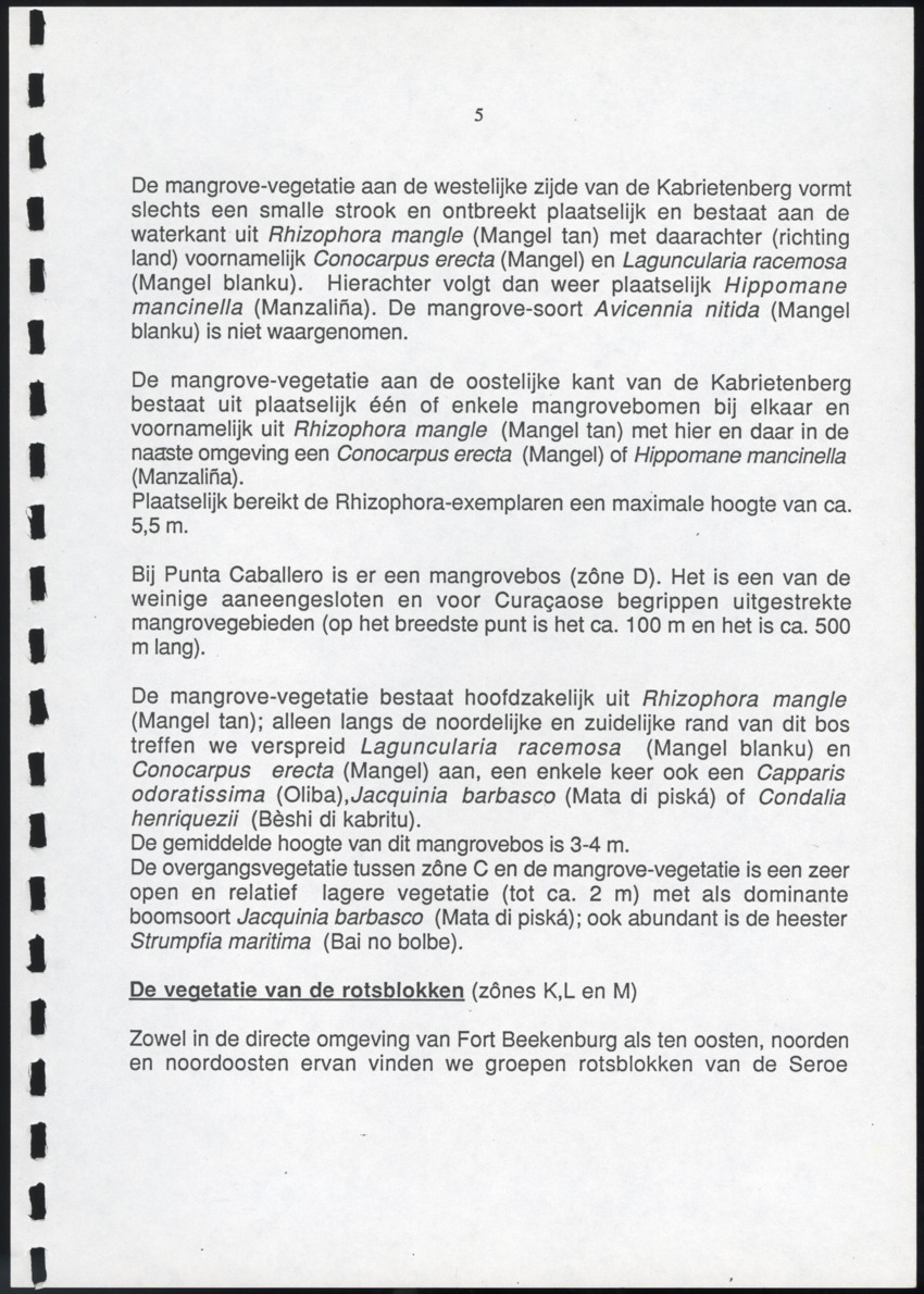 Inventarisatie-rapport van het schiereiland Caracasbaai - New Page