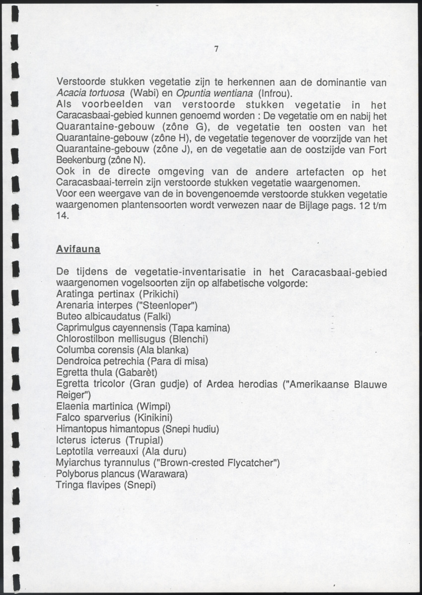 Inventarisatie-rapport van het schiereiland Caracasbaai - New Page