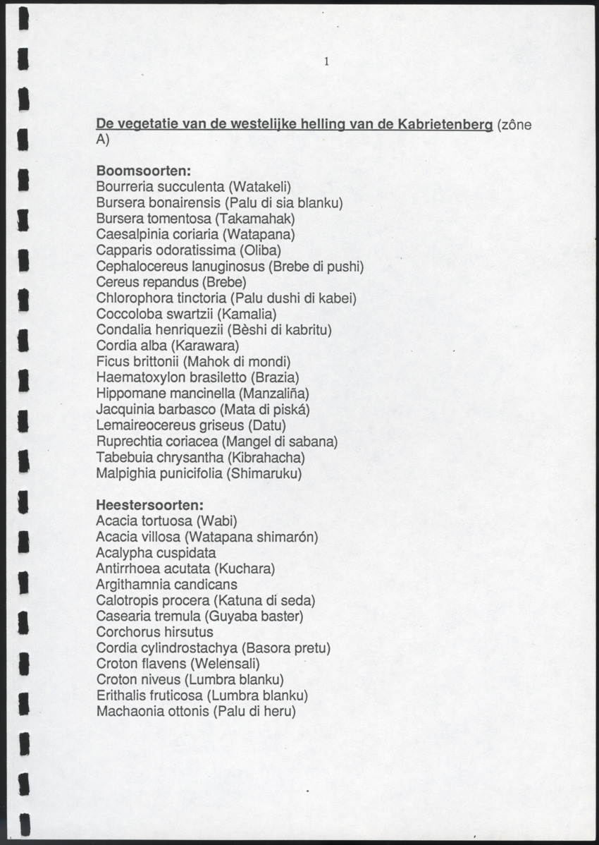 Inventarisatie-rapport van het schiereiland Caracasbaai - New Page