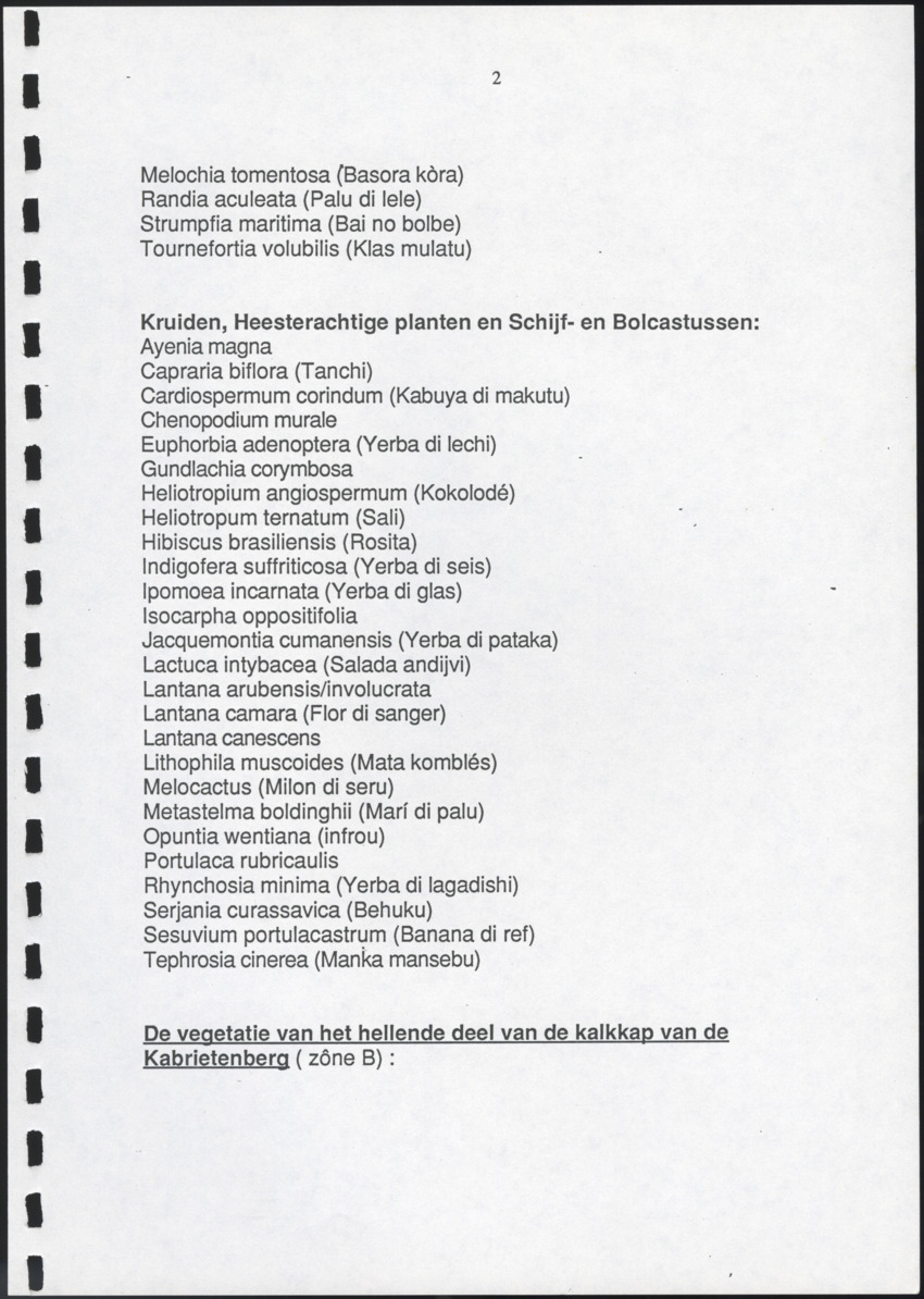 Inventarisatie-rapport van het schiereiland Caracasbaai - New Page