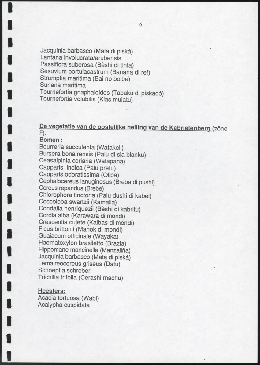 Inventarisatie-rapport van het schiereiland Caracasbaai - New Page